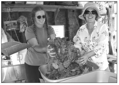 MELISSA BETRONE AND DIA COUTTOUW WASHING FRESHLY HARVESTED GREENS NEAR DOLORES COLORADO