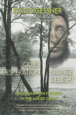 QUIET DESPERATION, SAVAGE DELIGHT BY DAVID GESSNER