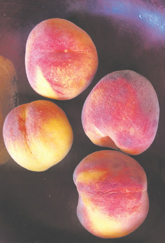 PEACHES PRODUCED DURING THIS YEAR'S DROUGHT
